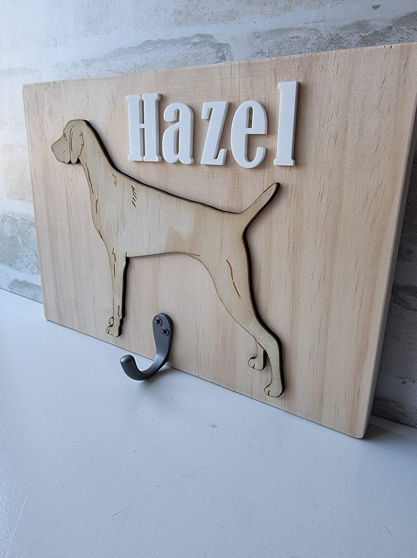 Leash storage hook