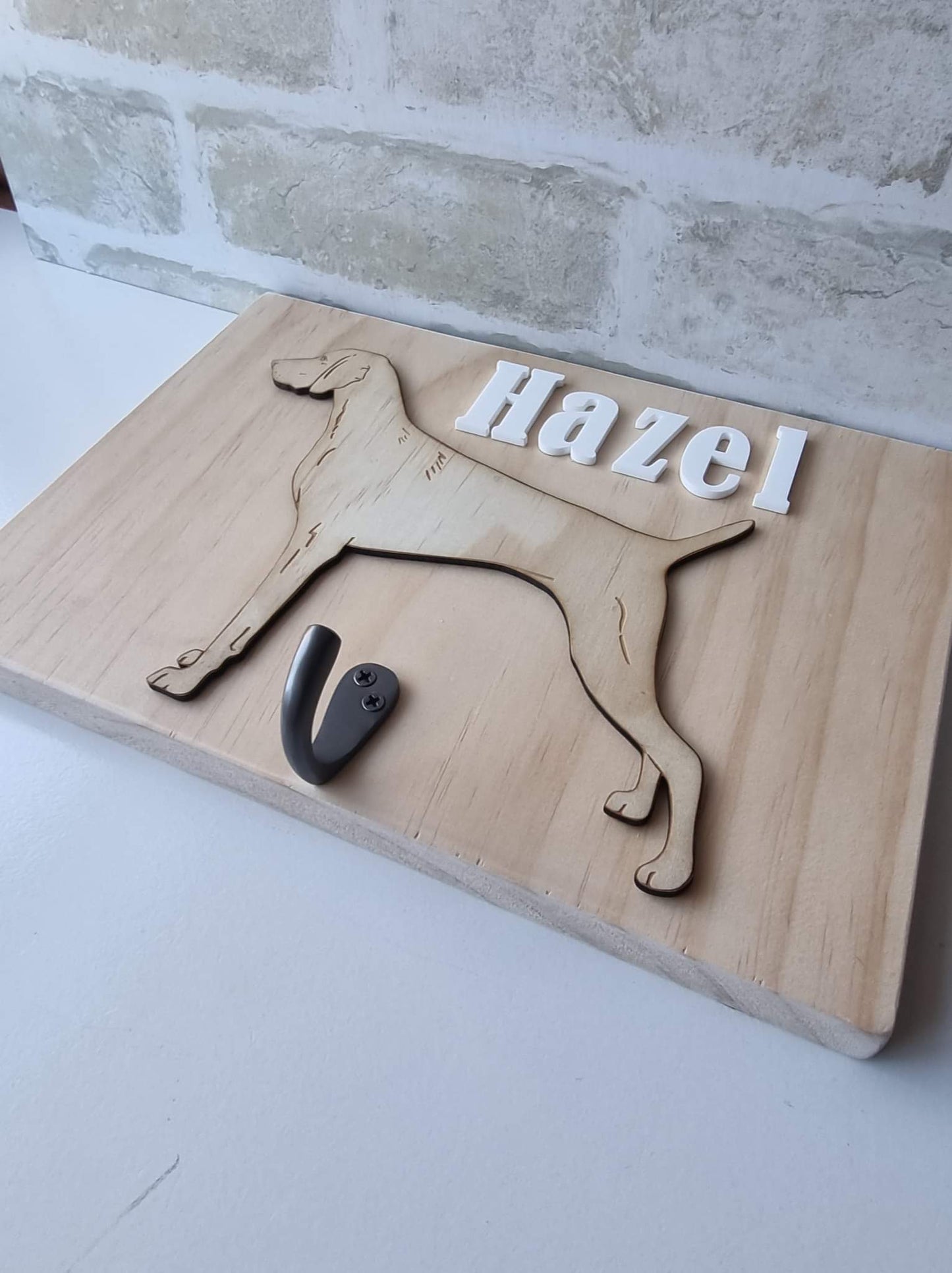 Leash storage hook