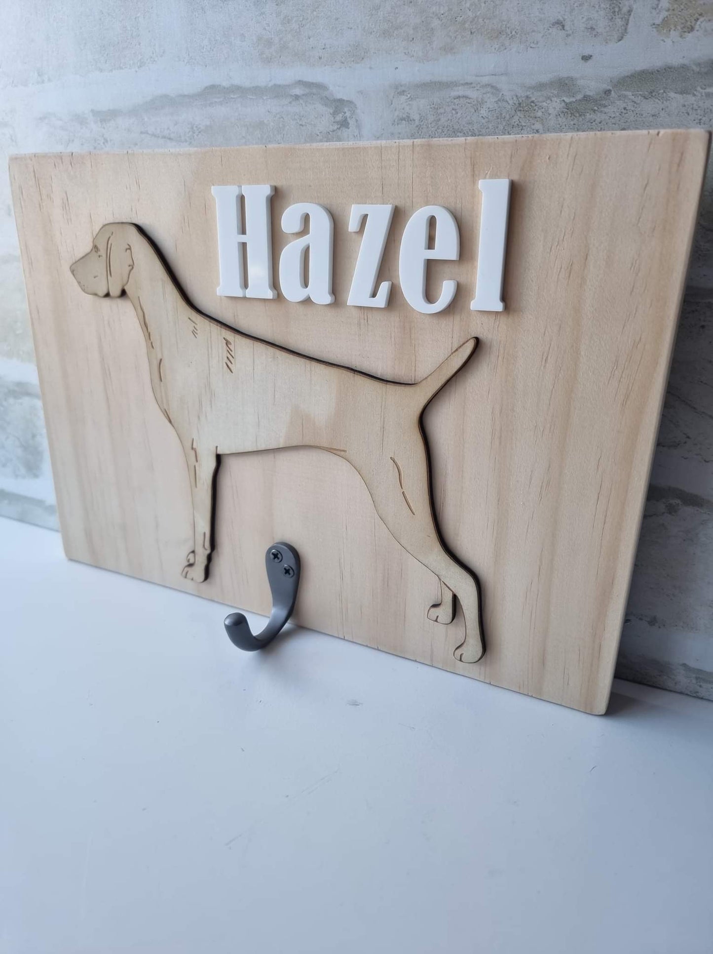 Leash storage hook