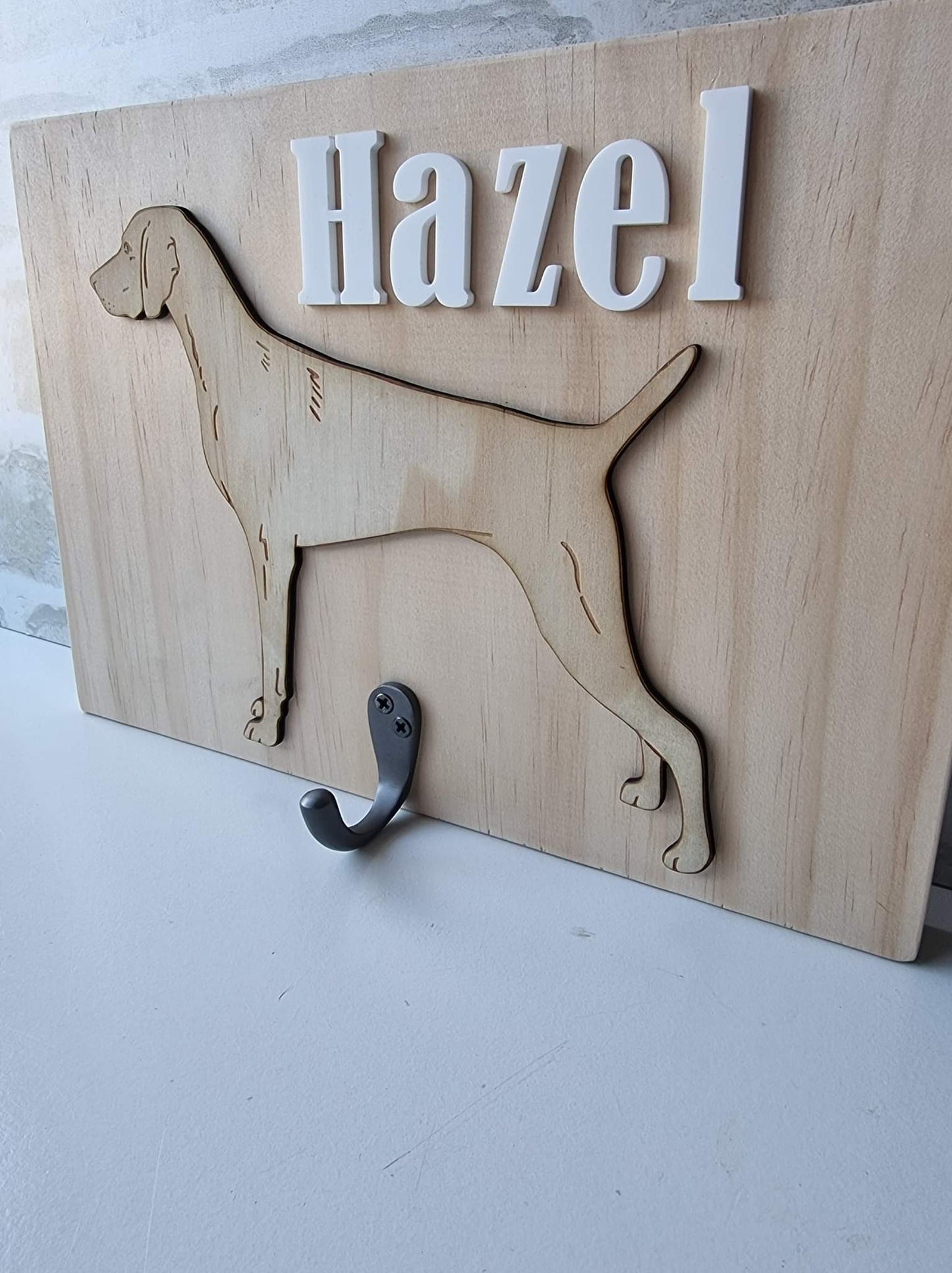 Leash storage hook