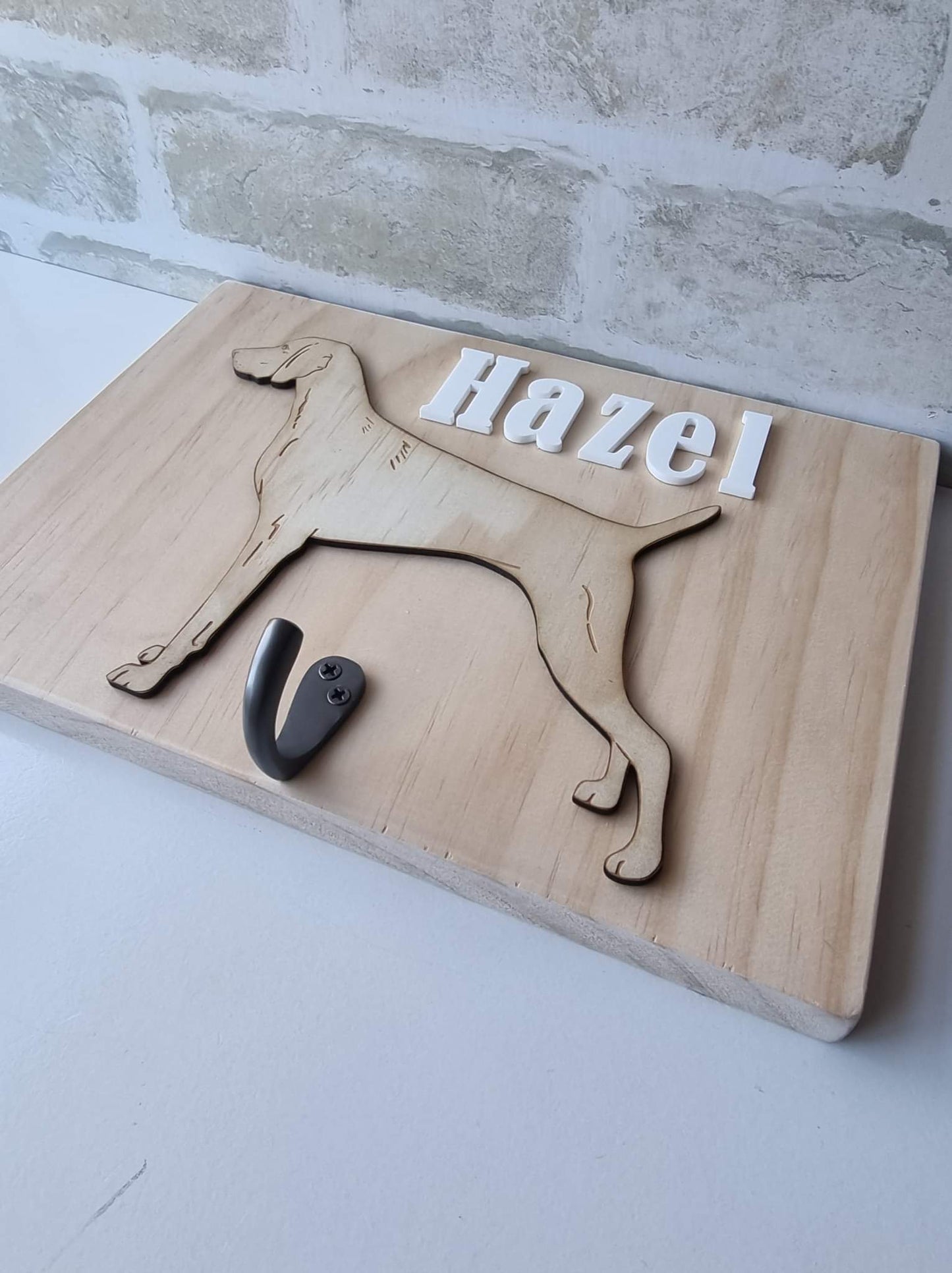 Leash storage hook