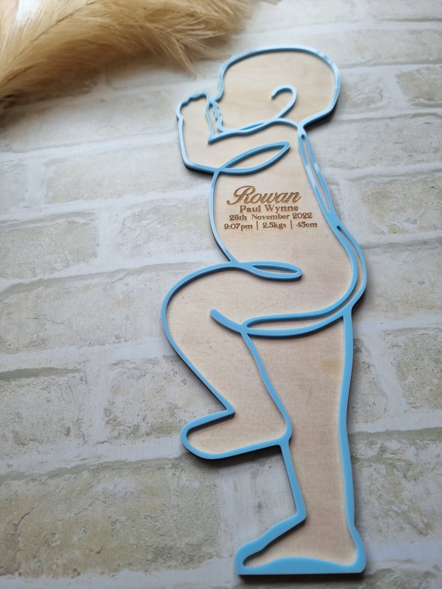 Baby Scale 1:1 Birth Plaques