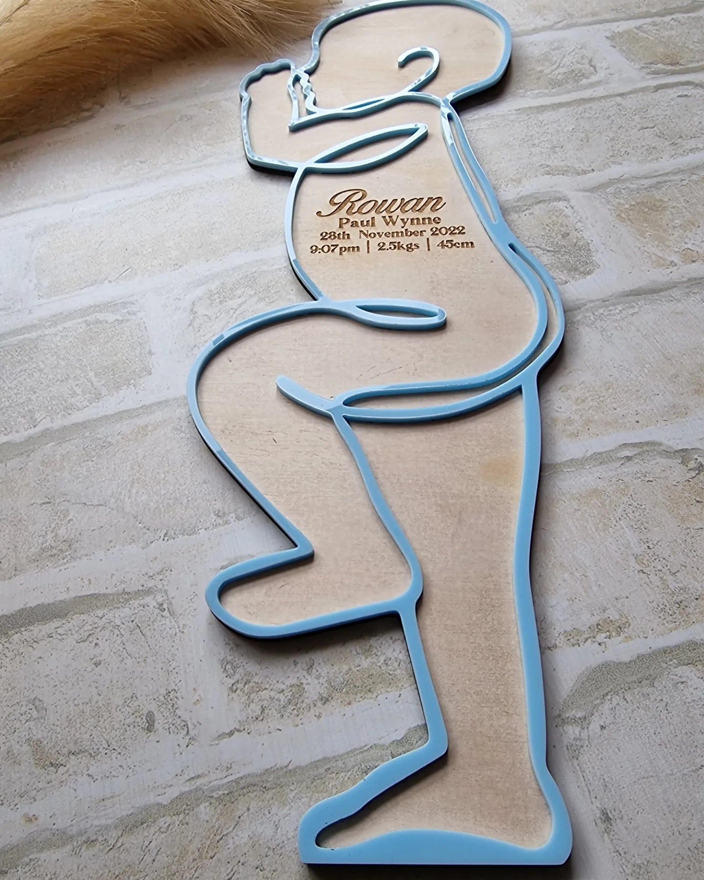 Baby Scale 1:1 Birth Plaques
