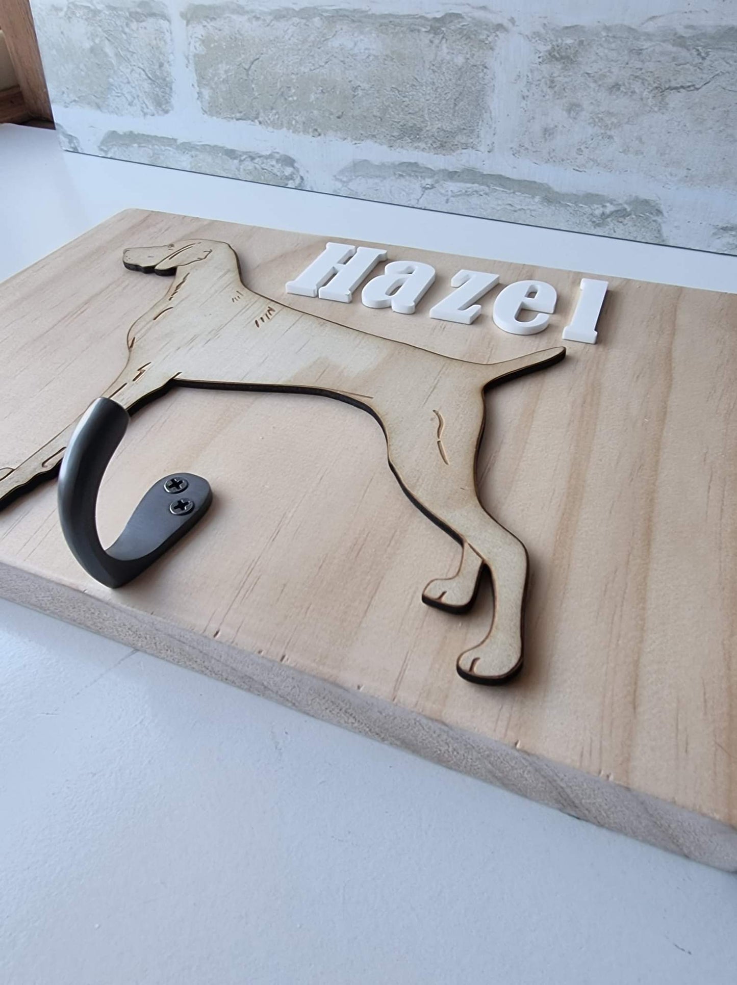 Leash storage hook